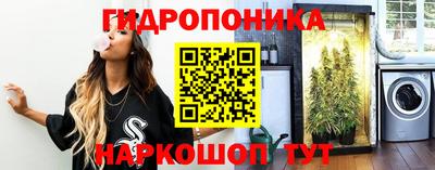 индика Гусиноозёрск
