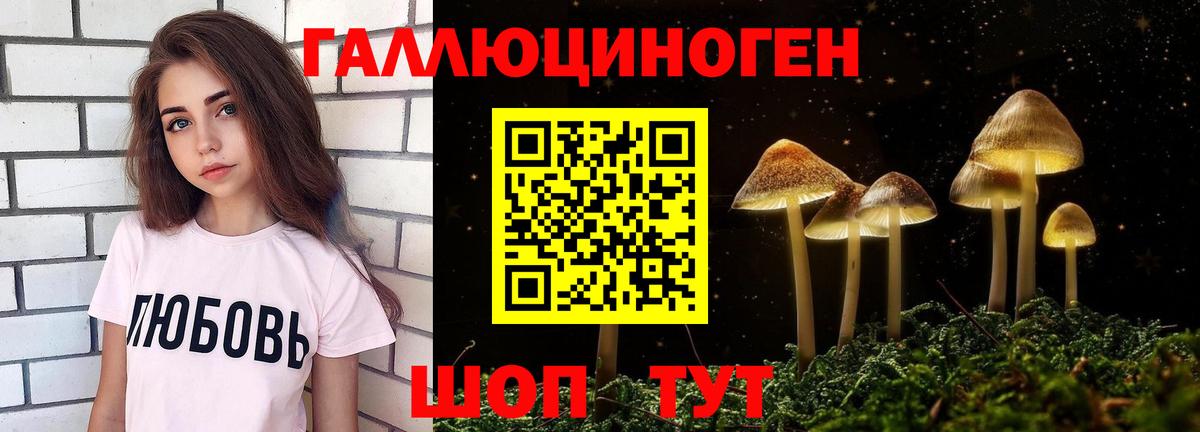 Галлюциногенные грибы Psilocybine cubensis  Вход с VPN  купить закладку  Белогорск  Псилоцибиновые грибы мухоморы 