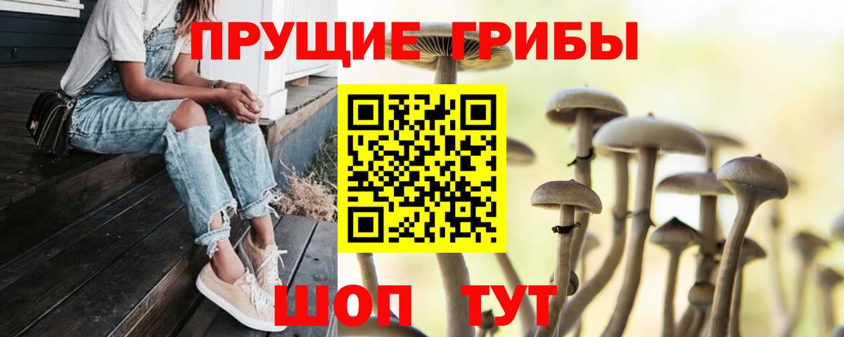 Галлюциногенные грибы GOLDEN TEACHER Белогорск